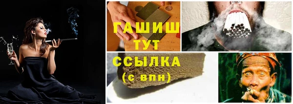 PSILOCYBIN Абаза