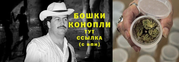 PSILOCYBIN Абаза