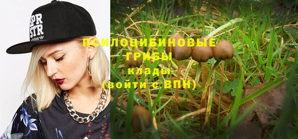 PSILOCYBIN Абаза