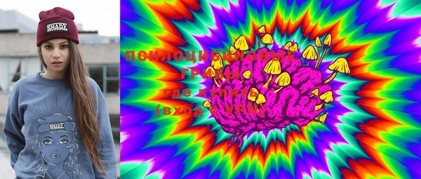 PSILOCYBIN Абаза