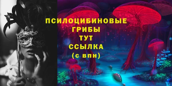 PSILOCYBIN Абаза