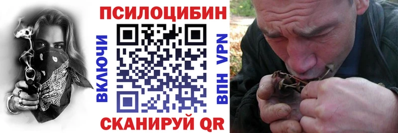 Галлюциногенные грибы Cubensis  купить   Костерёво 